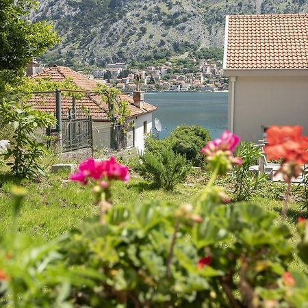 Muo Sea Front Apartments Kotor Exteriér fotografie