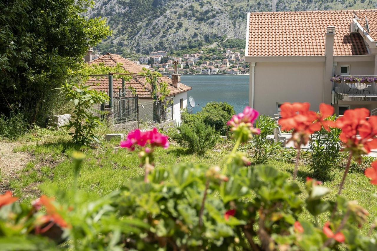 Muo Sea Front Apartments Kotor Exteriér fotografie