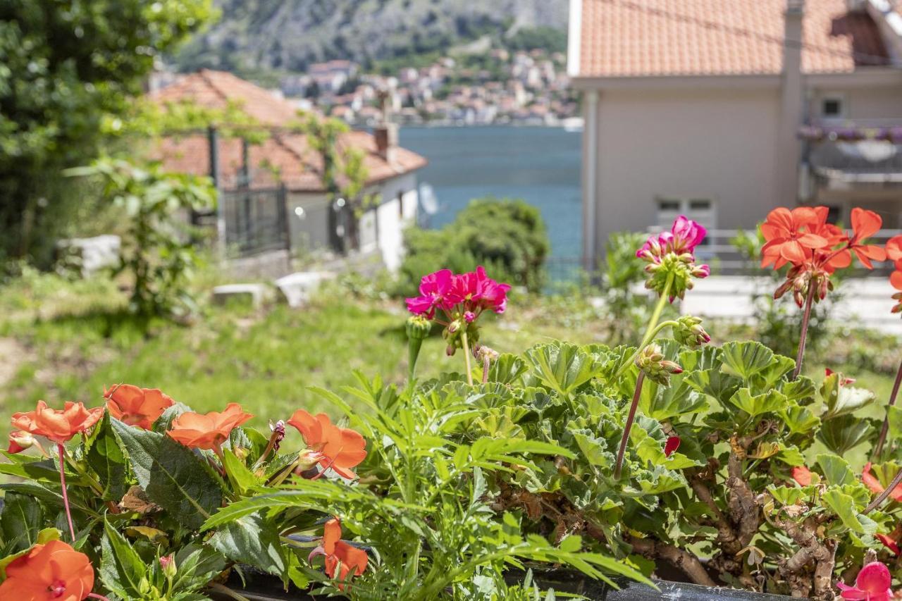 Muo Sea Front Apartments Kotor Exteriér fotografie